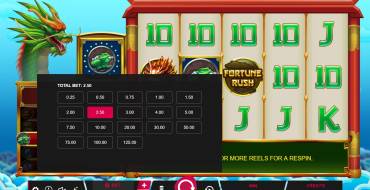 Fortune Rush: The bet