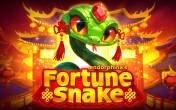 Fortune Snake  NZ (logo)