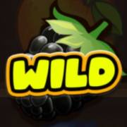 Fruit Duel: Wild