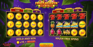 Fruit Heaven Hold And Win: Unique features