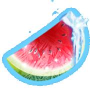 Fruits on Ice: Watermelon