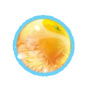 Fruits on Ice: Orange