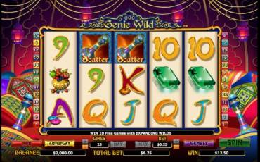 Genie Wild pokie NZ