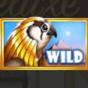 God’s Temple Deluxe: WILD