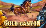 Gold Canyon  NZ (logo)