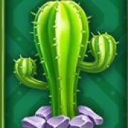 Hot Chilliways: Cactus