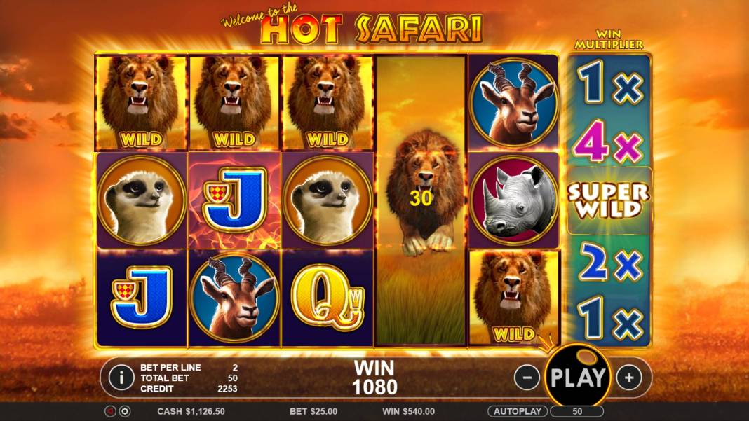 Hot Safari