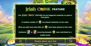 Irish Coins: Bonus games