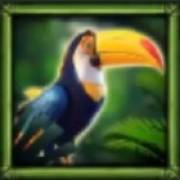 Jungle Break: Toucan