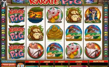 Karate Pig pokie NZ