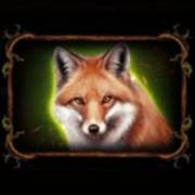 Leshy’s Magical Forest: Fox