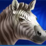 Lion Gems: Hold and Win: Zebra