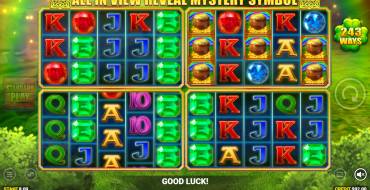 Luck O` The Irish: Mystery Ways Fortune Play: Bonus games