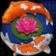 Lucky Koi: symbol