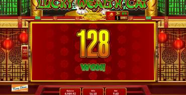 Lucky Wealth Cat: Winnings