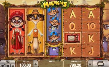 Meet the Meerkats pokie NZ