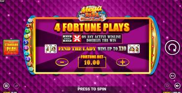 Mega Bars: Find the Lady Fortune Play: Unique features