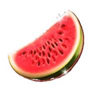 Mega Wild Fruits: Watermelon