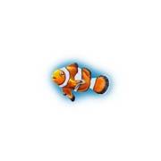 Clownfish symbol in Mighty Marlin Super Reel pokie