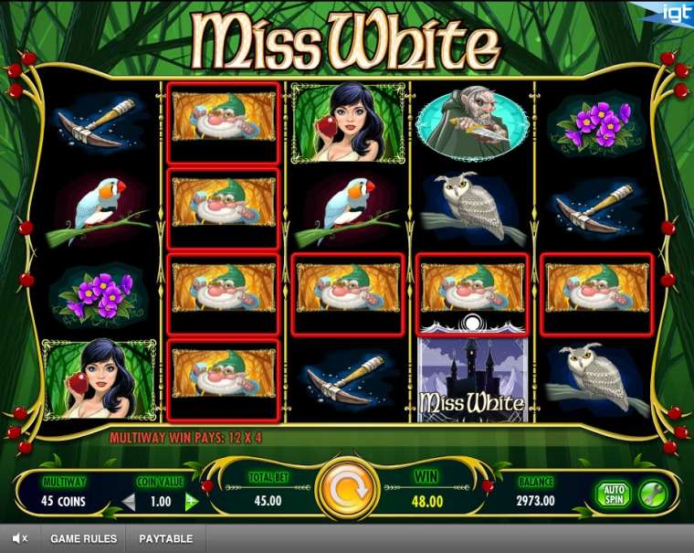 Free Play IGT online