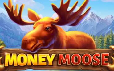 Money Moose pokie NZ