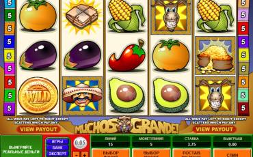 Muchos Grande pokie NZ