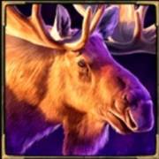 Night Wolf — Frostbite Fury: Moose