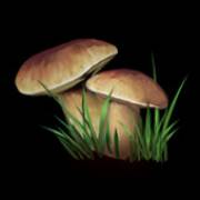 Night Wolves: Mushrooms