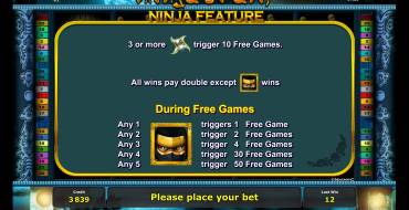 Ninja’s Path: Free Spins