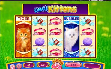 OMG! Kittens pokie NZ