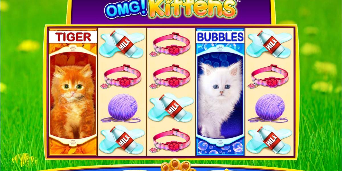 OMG! Kittens pokie NZ