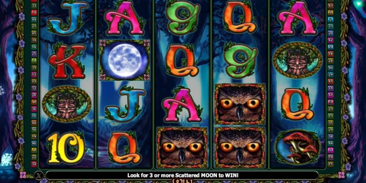 Owl Eyes pokie NZ