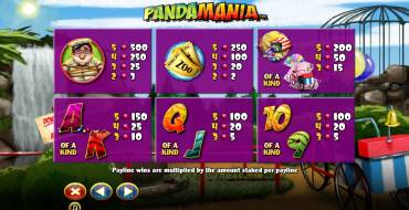 Panda Mania: Payout