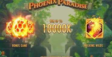 Phoenix Paradise: Interface