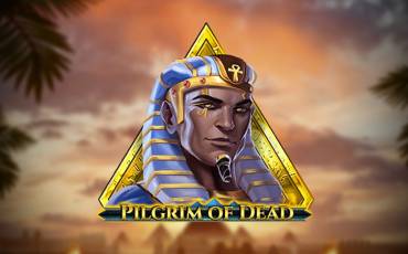 Pilgrim of Dead pokie NZ