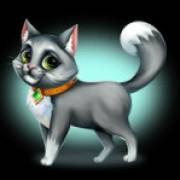 Posh Cats: Gray cat