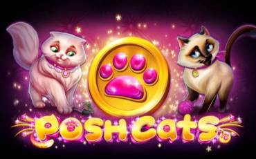 Posh Cats pokie NZ