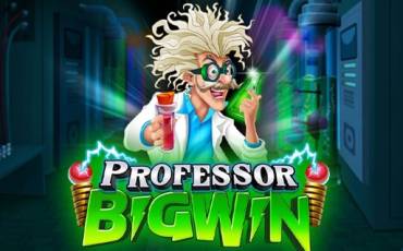 Professor Big Win pokie NZ