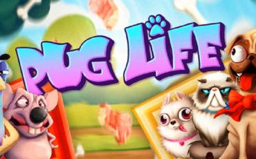 Pug Life pokie NZ