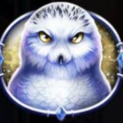 Queen Of Ice Expanded Edition: Owl