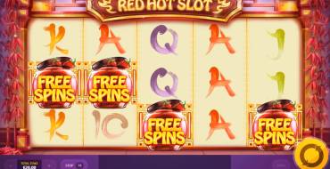 Red Hot Slot: Interface