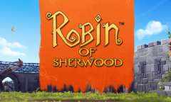 Play Robin of  Sherwood
