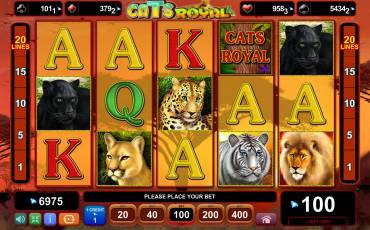 Royal Cats pokie NZ