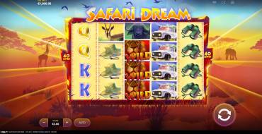 Safari Dream: Design