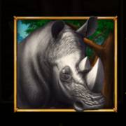 Savannah's Queen: Rhinoceros