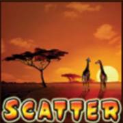 Savanna`s Life: Scatter