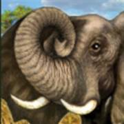 Savanna`s Life: Elephant