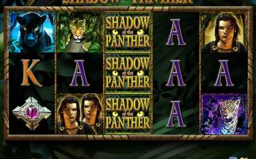 Shadow of the Panther pokie NZ