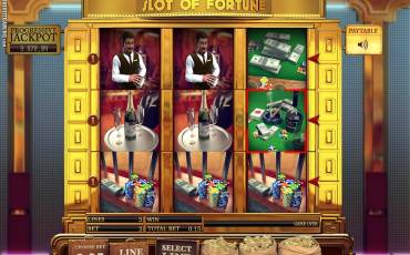 Slot of Fortune pokie NZ