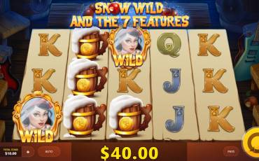 Snow Wild and the 7 Features pokie NZ